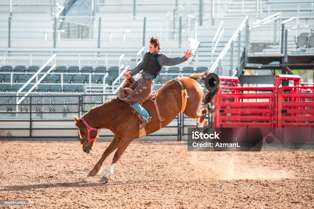 Cowboy Riding A Bucking Horse Cowboy saddle bronc riding a horse at a rodeo competition. Bucking horse giving him a hard time while riding. Rodeo Stock Photo