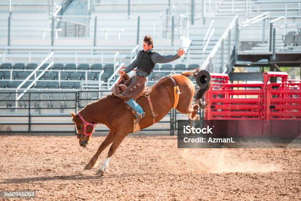 Cowboy Riding A Bucking Horse Stock Photo - Download Image Now - Rodeo, Bull Riding, Bucking Bronco