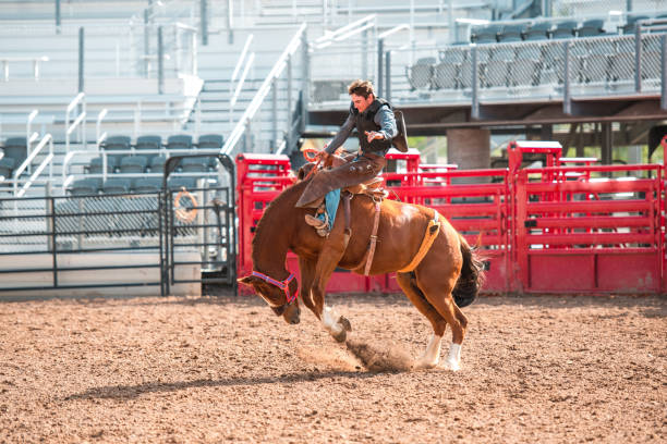 istock Cowboy Riding A Bucking Horse 1460945063