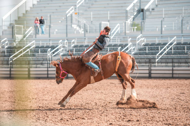 istock Cowboy Riding A Bucking Horse 1460945069