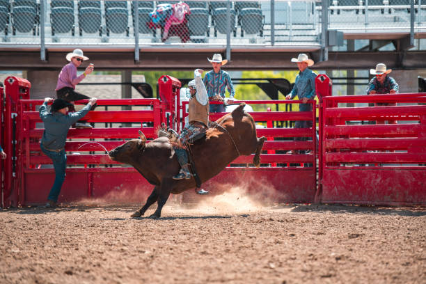 istock Cowboy Ridding A Bucking Bull 1460945077