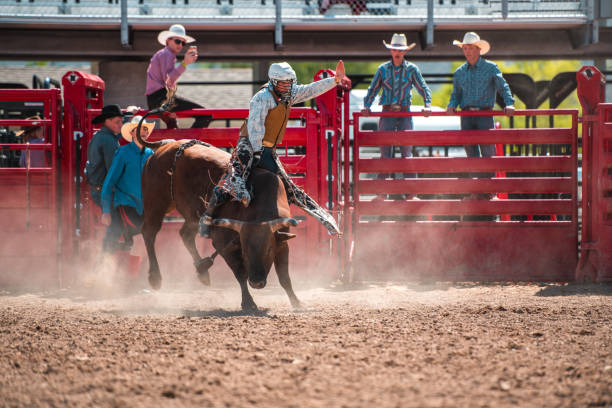 istock Cowboy Ridding A Bucking Bull 1460945090