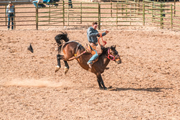 istock Cowboy Bronc Busting At A Rodeo 1460945099