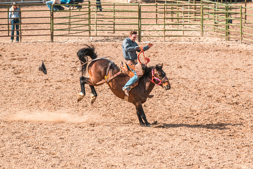 Cowboy saddle bronc riding a horse at a rodeo competition. Bucking horse giving him a hard time while riding.