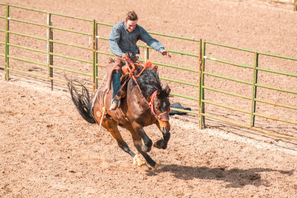 istock Cowboy Riding A Bucking Horse 1460945100