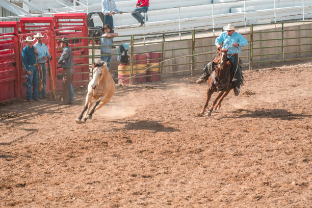 istock Cowboy Lassoing A Bucking Horse 1460945112