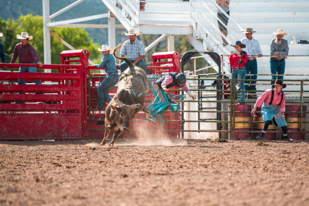 istock Cowboy Thrown Off A Bucking Bull 1460945125