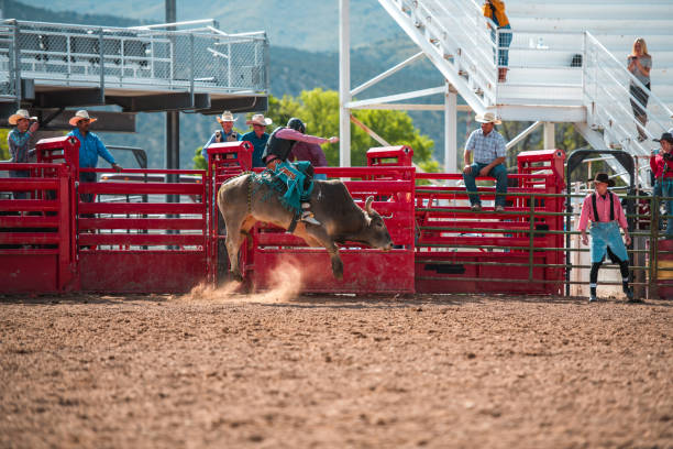 istock Cowboy Ridding A Bucking Bull 1460945129
