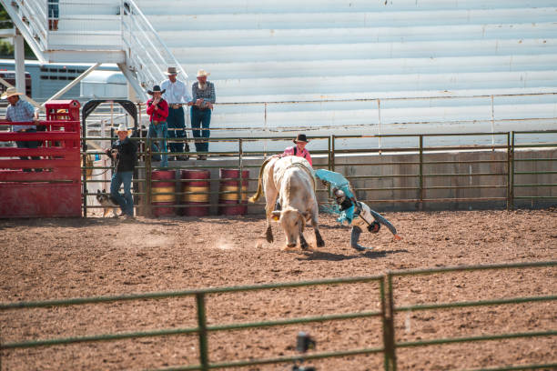 istock Cowboy Thrown Off A Bucking Bull 1460945130