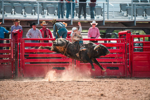 istock Cowboy Ridding A Bucking Bull 1460945131