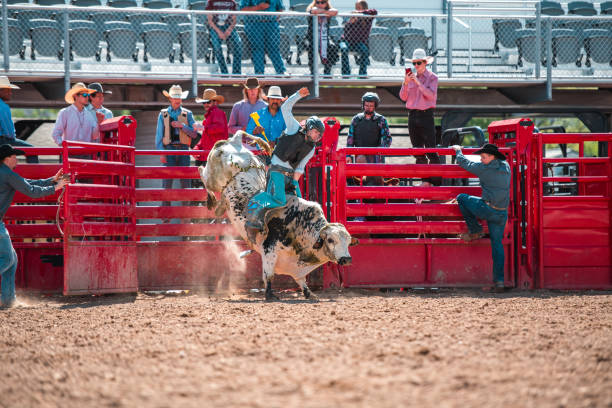 Crisp action shot of a man riding a bull out of the gate.