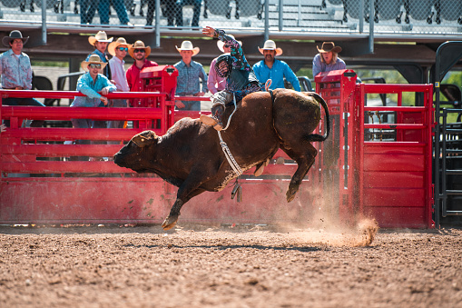 Cowboy ridding a bucking bull at a local rodeo event in Utah.