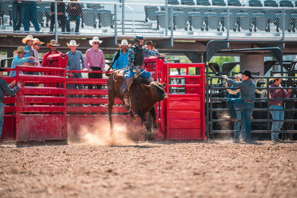 istock Cowboy Ridding A Bucking Bull 1460945142