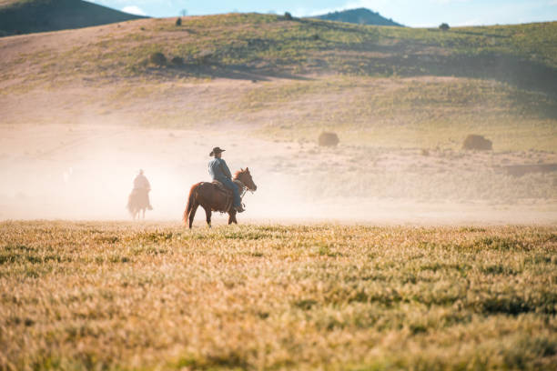 istock Adult Cowboys at Farm Range 1460945266