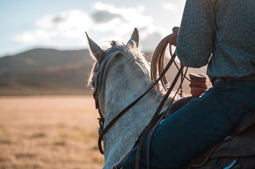 Close up shot of a horse being ridden by a cowboy. Mid adult man with a roping lasso and wearing comfortable jean pants.