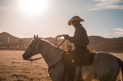 Outdoor shot suring the sunset of handsome young cowboy riding a horse. Mid adult man with a roping lasso.