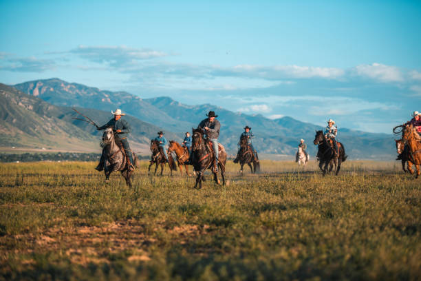 tiro de ação de cowboys e cowgirls cavalgadas - horseback riding cowboy riding recreational pursuit - fotografias e filmes do acervo