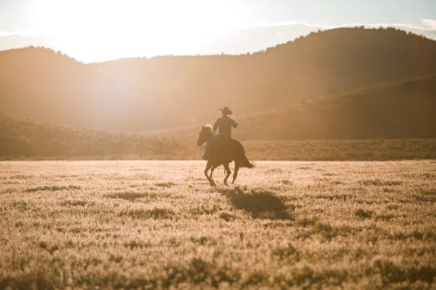 istock Mid Adult Man Silhouette Horseback Riding Alone 1460945381
