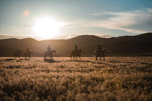 Full length shot of cowboys silhouettes moving forward on a row. They are riding horses during the sunset and there are mountains behind them.