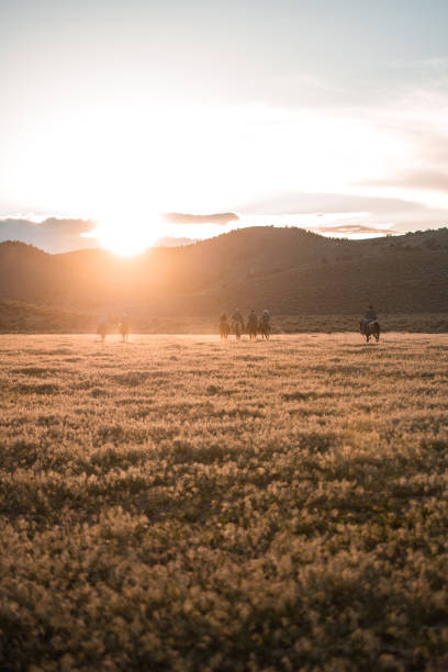 foto ao ar livre de amigos andando a cavalo durante a hora de ouro - horseback riding cowboy riding recreational pursuit - fotografias e filmes do acervo