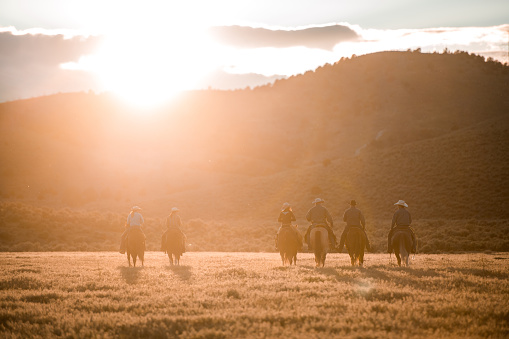 Wide shot of family and friends having a good time together. Outdoor shot of people horseback riding in the large field. The sunlight shows their silhouettes.