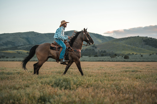 Side shot of mid adult man horseback riding freely. Man having fun in the countryside while wearing a cowboy hat and boots.