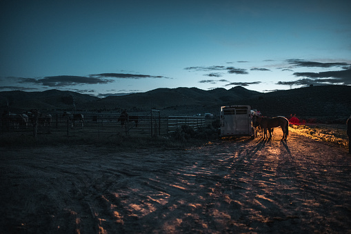 Outdoor shot during the blue hour at the local farm. There are horses behind and outside of the fences. One is close to a bonfire.
