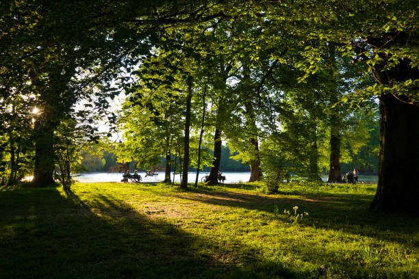 el englischer garten, alemán para "jardín inglés", es un gran parque público en el centro de múnich, alemania. - englischer garten fotografías e imágenes de stock