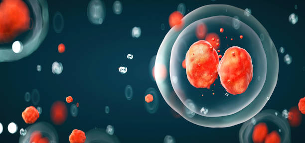 istock 3D rendering of human cell or embryonic stem cell microscope background 1460959325