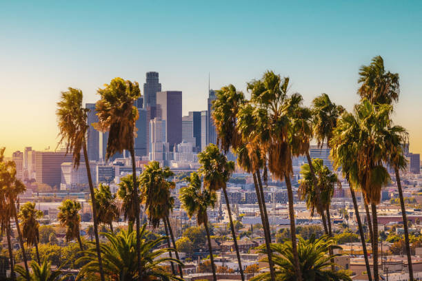 Los Angeles CA A view of downtown Los Angeles California with palm trees in the foreground los angeles county stock pictures, royalty-free photos & images