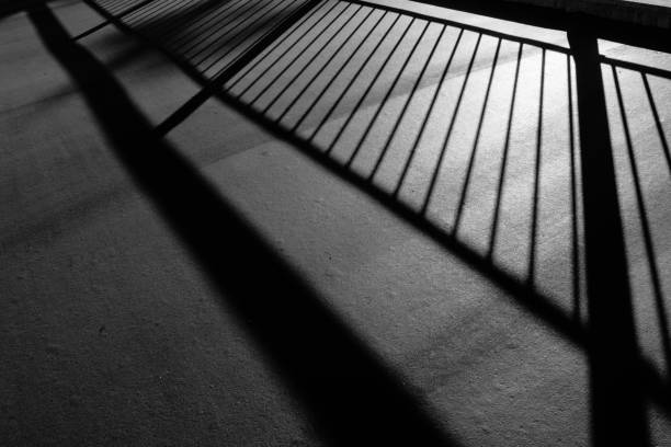 Sunlight and shadows on the fence