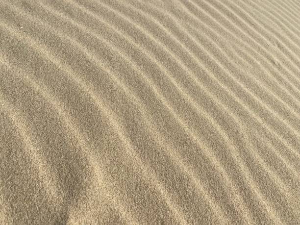 istock Ripples in the sand formed by the wind 1460974077