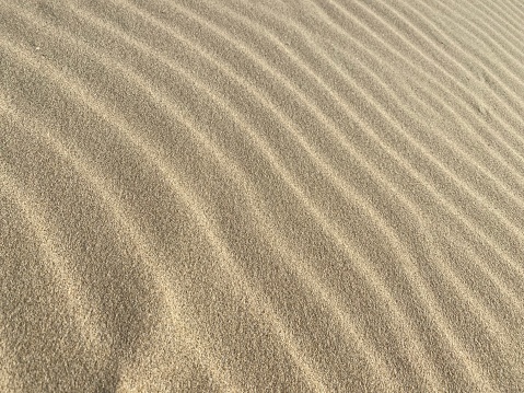 Ripples in the sand formed by the wind