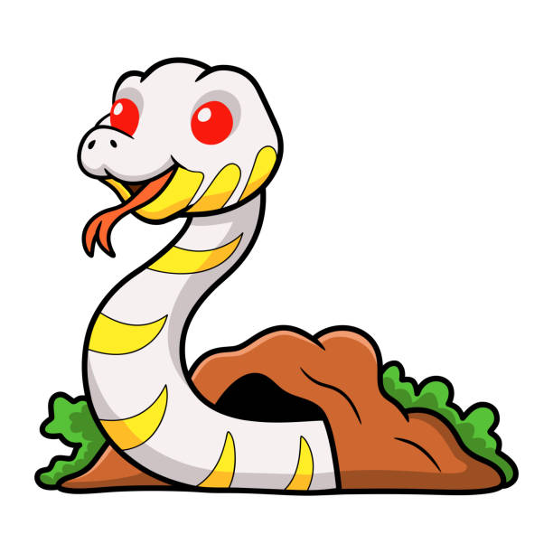 Cartoon Of The King Snake Illustrations, Royalty-Free Vector Graphics &  Clip Art - iStock