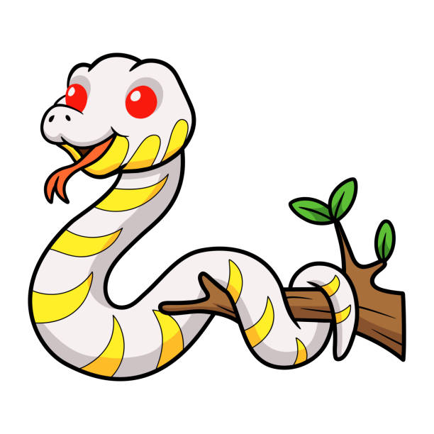 Reticulated Python Cartoon Illustrations, Royalty-Free Vector Graphics & Clip Art - iStock Reticulated Python Cartoon Illustrations, Royalty-Free Vector Graphics & Clip Art - iStock