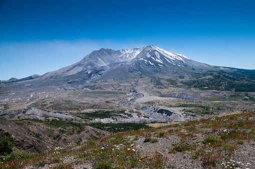 Mt. St. Helens and wild flowers in a beautiful summer day