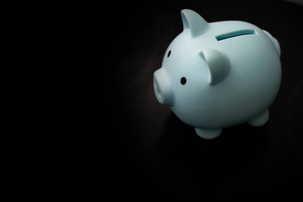 istock Finance, saving money, piggy bank on dark background 1460987252