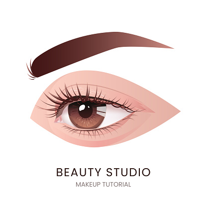 Beautiful female eye with long black eyelashes and brows. Vector illustration. Realistic brown woman eye, with long cilia. For design of laser vision correction and make up, cosmetics, skin care.