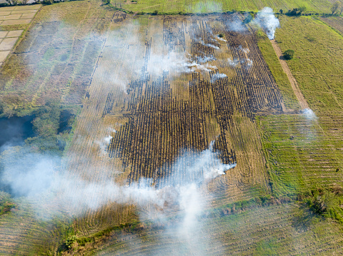 Burning agricultural or crop residues has resulted in air pollution and  black carbon in the global atmosphere.
