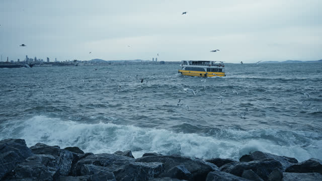 SLO MO A yellow tourist ship sails on rough seas and seagulls fly over the sea