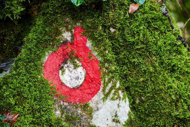 marcador de sendero para hackear pintado en una piedra cubierta de musgo - damp course fotografías e imágenes de stock