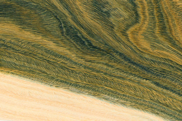Green and brown PaloSanto wooden pattern