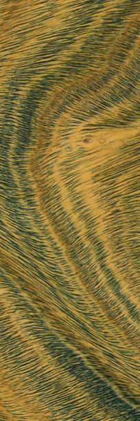 istock Green and brown PaloSanto wooden pattern 1460994312