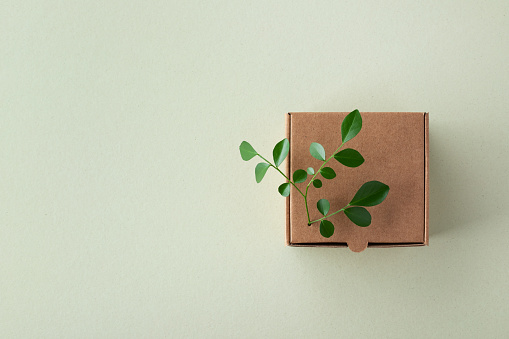 Cardbox from recyclable organic materials with green leaves sprout top view. Eco friendly packaging, zero waste and plastic free minimal concept.