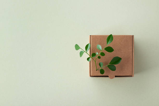Cardbox from recyclable organic materials with green leaves sprout top view. Eco friendly packaging, zero waste and plastic free concept. stock photo