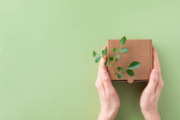 Woman hands holding cardbox from natural recyclable materials with green leaves sprout from above. Responsible consumption, eco friendly packaging, zero waste concept. stock photo