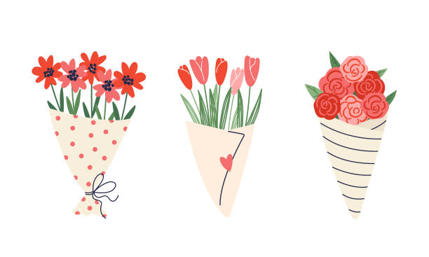 ilustrații de stoc cu buchete de flori. un buchet de flori de grădină, un buchet de lalele, un buchet de trandafiri. vector set de decor floral. potrivit pentru 8 martie, ziua îndrăgostiților, ziua mamei, invitații, felicitări. - buchet flori