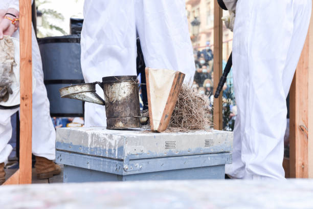 istock Close-up of smoker with lid open over a beehive. 1461001263