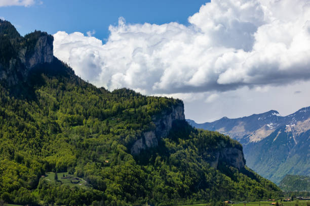 istock Beautiful landscape of mountains in greenery 1461002117