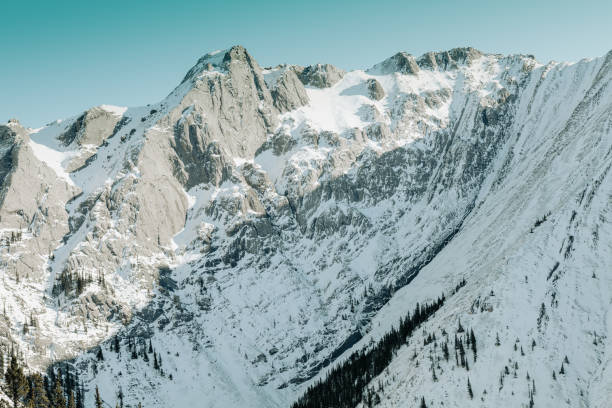 istock Snow covered side of a mountain 1461004007